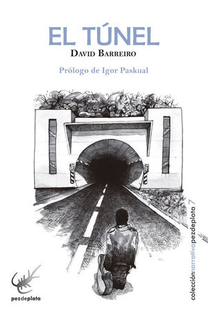 libro-el-tunel-david-barreiro-betina-shop